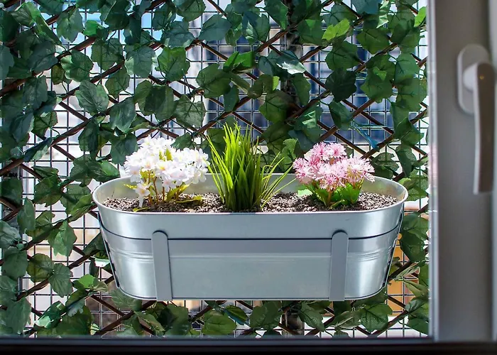 Casa Capricho פוארטו דל כרמן